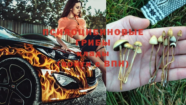 MDMA Premium VHQ Зерноград